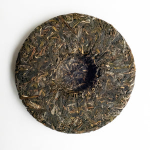 2022 Spring ChaWangShu Ancient Tree Puerh 茶王树