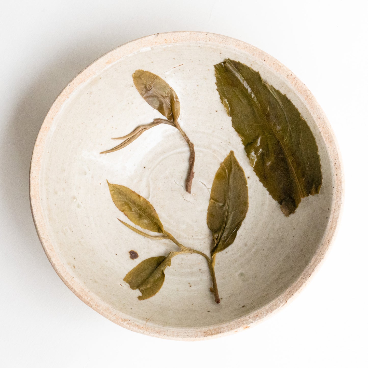 2022 Spring Yiwu Ancient Tree Puerh 易武古树